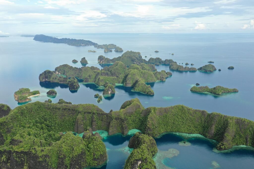 Bisnis Tambang, Raja Ampat